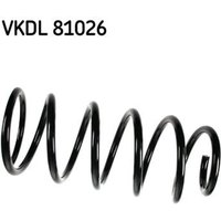 SKF Feder hinten Toyota Land Cruiser