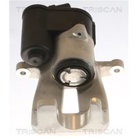 Triscan Bremssattel hinten links VW Passat B6