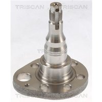 Triscan Radnabe Hinten Seat VW