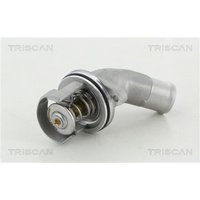 Triscan Thermostat mit Gehäuse