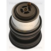 Triscan Thermostat Porsche Cayenne Macan Panamera