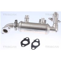 Triscan AGR-Kühler Ford