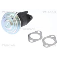 Triscan AGR-Kühler Audi A4 A5 A6 Q5 Seat Exeo