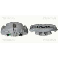 Triscan Bremssattel vorne links Audi A6 A8 VW Phaeton