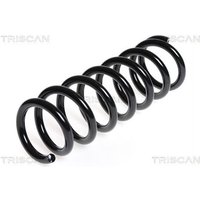 Triscan Feder hinten Citroen Mitsubishi Peugeot