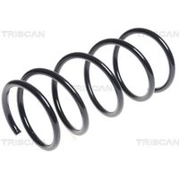 Triscan Feder vorne Nissan Pixo Suzuki Alto