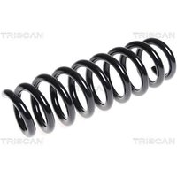 Triscan Feder hinten BMW 1er E81 E87 3er E92