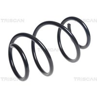 Triscan Feder vorne BMW 1er 2er 3er 4er