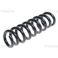 Triscan Feder hinten BMW 3er 4er