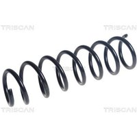 Triscan Feder hinten BMW 5er F10