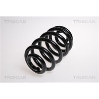 Triscan Feder hinten BMW X3 E83