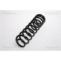 Triscan Feder hinten Mercedes Vaneo