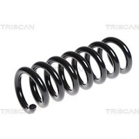 Triscan Feder hinten Mercedes C-Klasse E-Klasse