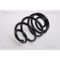 Triscan Feder hinten Opel Astra F