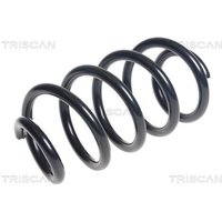 Triscan Feder hinten Dacia Logan