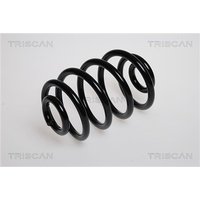 Triscan Feder hinten Renault Clio 2
