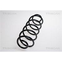 Triscan Feder hinten Peugeot 207/207+