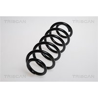 Triscan Feder hinten Peugeot 307