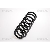 Triscan Feder hinten Peugeot 407