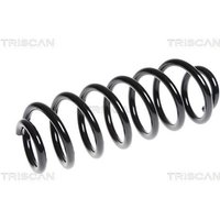 Triscan Feder hinten Peugeot 308