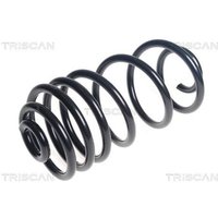 Triscan Feder hinten Citroen Jumpy Peugeot Expert