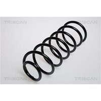 Triscan Feder vorne VW Golf 3 Vento
