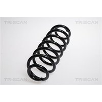 Triscan Feder Hinten VW Passat Tiguan