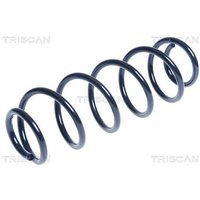 Triscan Feder hinten Seat Mii Skoda Citigo VW Up!