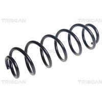 Triscan Feder hinten Seat Ibiza VW Polo