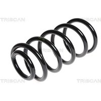 Triscan Feder hinten Hyundai Santa Fe