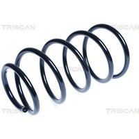 Triscan Feder vorne Hyundai Elantra I30