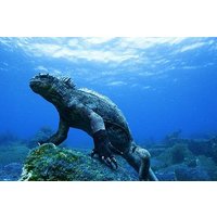 6-Day Galapagos Island Hopping Budget