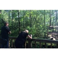 Private Day Tour: Visit Giant Pandas and Discover Shu Culture in Chengdu