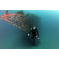 Rainbow Warrior Dive Charter