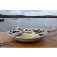 Sonoma Coast Tasting Tour: Cheese, Honey, Oysters, Wine and Oils