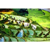 Sapa Trek Group Tour 3days by Bus from Hanoi with 1 night hotel&1 night homestay