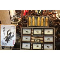 2-Hour Yu Garden in Oldcity and Cricket Boxing Culture Experience