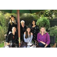 Wine Gourmet and Scenic Mini Group Tour for 6-8 seats