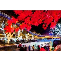 Independent Tour to Yanqing Ice Lanterns Festival with Private Transfer