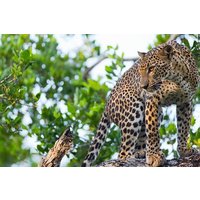 Day Excursions to Wasgamuwa National Park From Negombo