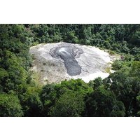 3-Day Adventure in Tabin Wildlife Reserve