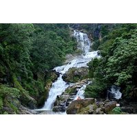 2 Day Tour To Sinharaja Rain Forest & Udawalawa From Colombo