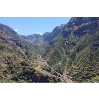 Madeira: Private Laurisilva Tour