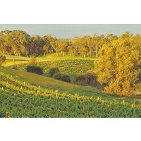 Swan Valley Private Tour