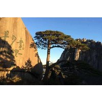 Mount Huangshan Highlights Group Tour -No Shopping