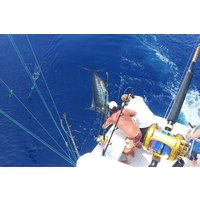 Deep Sea Fishing Tour