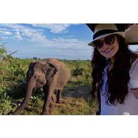 Udawalawe National park with Elephant Transit Home From Colombo