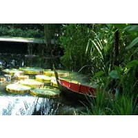 Private Tour: Full Day Round Penang Island Tour