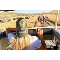 4 Days Serengeti, Tarangire, Ngorongoro Safari Tour