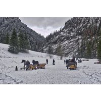Horse Sleigh Ride in the Polish Countryside, private tour from Krakow